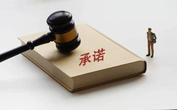 承诺活动总结5篇