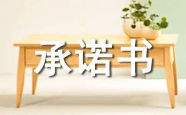 保证函和承诺书精选6篇