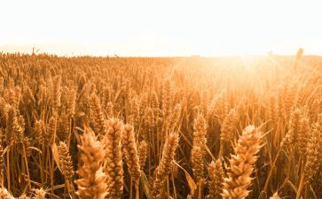 成熟的标志的作文6篇