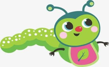 昆虫记读后感700字5篇