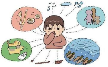 传染护心得体会8篇
