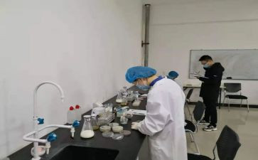 处理员的年终总结8篇