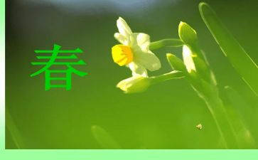 写奋斗青春的作文8篇