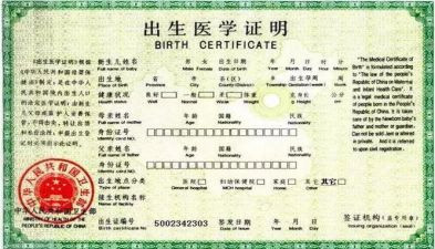 补办出生证明的申请书5篇