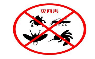 除四害工作总结7篇