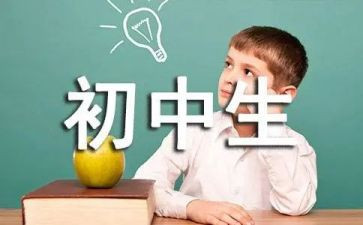 初中数学教师的工作总结精选8篇