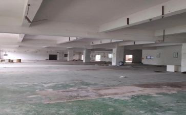仓库工作述职报告5篇
