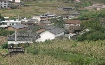 村义诊活动总结7篇