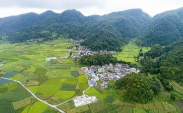 2024年村工作报告精选8篇