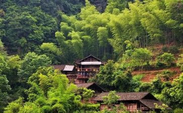 村卫生室的工作总结推荐7篇