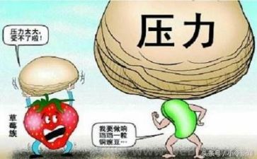 挫折的作文600字优质6篇