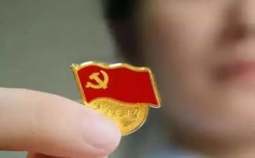 所党委述职报告模板6篇