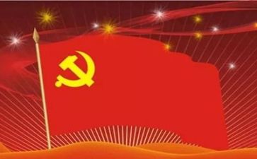 党日活动总结模板参考6篇