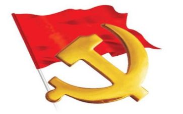 党日个人工作总结精选5篇