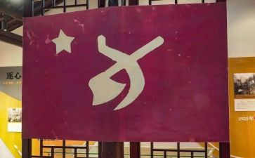 党员基层心得体会8篇