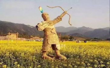 稻草人芳的梦读后感精选8篇