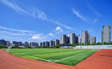 大学新心得体会模板7篇