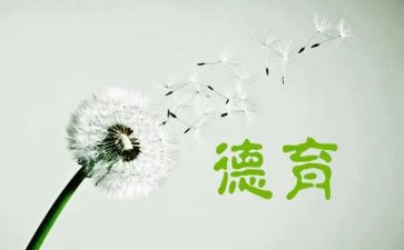 幼儿园德育工作总结6篇