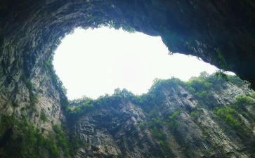 农村土地转让合同推荐6篇