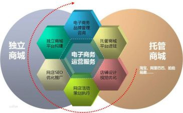 电商个人总结工作总结模板7篇
