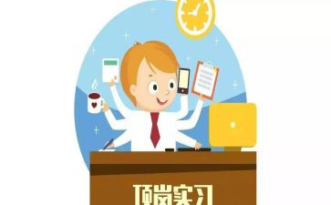 造价顶岗心得体会5篇