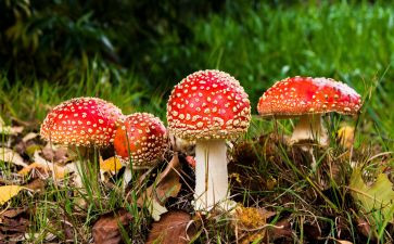 禁毒教育心得体会900优质6篇