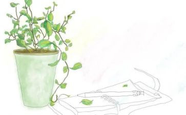 有关读后感作文7篇