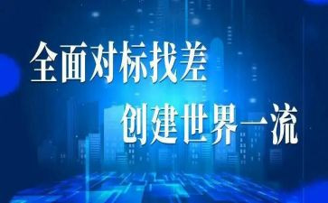 教师党员对标工作总结5篇