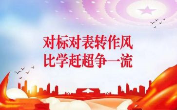教师党员对标工作总结模板6篇