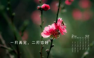 工作第二月总结优质7篇