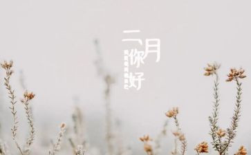 二月二活动方案5篇