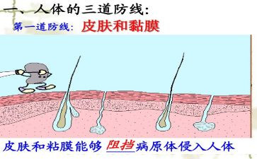 固防线心得体会5篇
