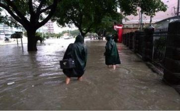 防台防汛工作总结8篇