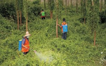 防治活动总结6篇