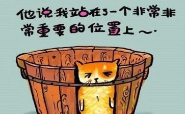 2023年个人总结反思精选7篇