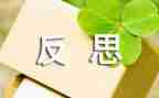 2023年个人总结反思参考6篇