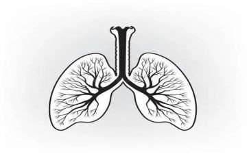 肺的自述作文精选7篇