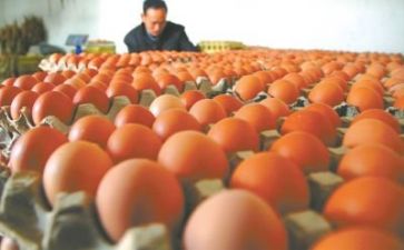 扶贫报告总结6篇