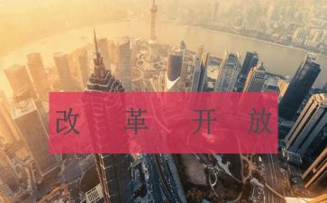 改革工作自查报告8篇
