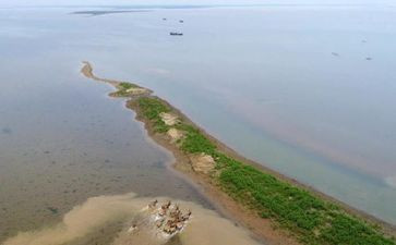 赣鄱先锋个人先进事迹7篇