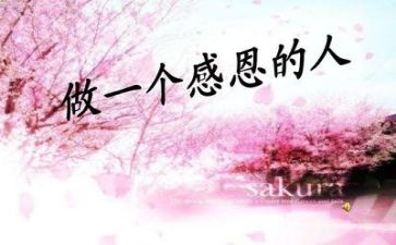 关于感恩的教师演讲稿优质8篇