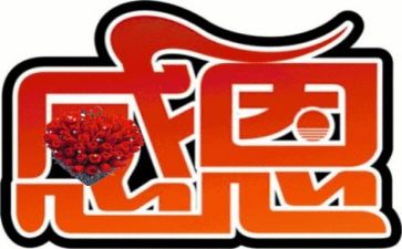 感恩教师演讲稿优质8篇