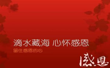 讲感恩心得体会推荐5篇
