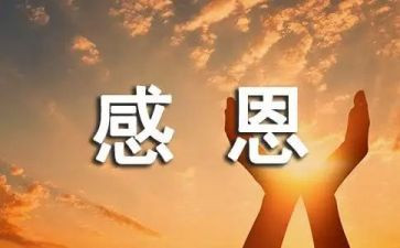 关于目感恩的心得体会参考7篇