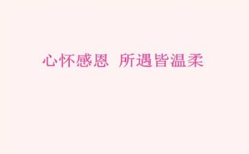 关于感恩教师的心得体会7篇