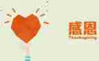 感恩校园活动总结8篇