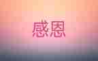 我最感激的个人作文优质8篇
