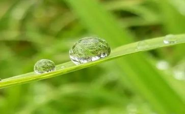 心灵的甘露作文600字作文精选7篇