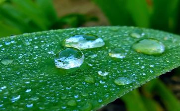 心灵的甘露作文600字作文优质6篇