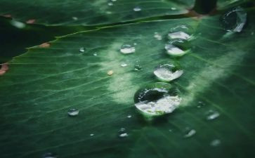 心灵的甘露作文800字作文最新6篇